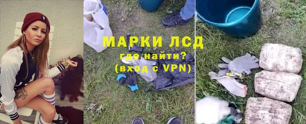 ПСИЛОЦИБИНОВЫЕ ГРИБЫ Алексеевка