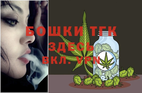 тгк Алексин