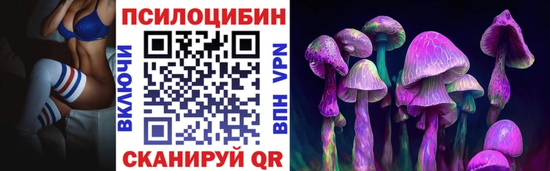 KRAKEN как зайти Харовск Галлюциногенные грибы прущие грибы